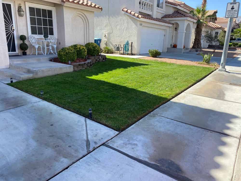Sod Installation image