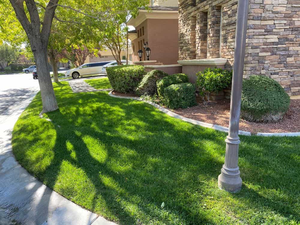 Hero image for Jireh Landscaping