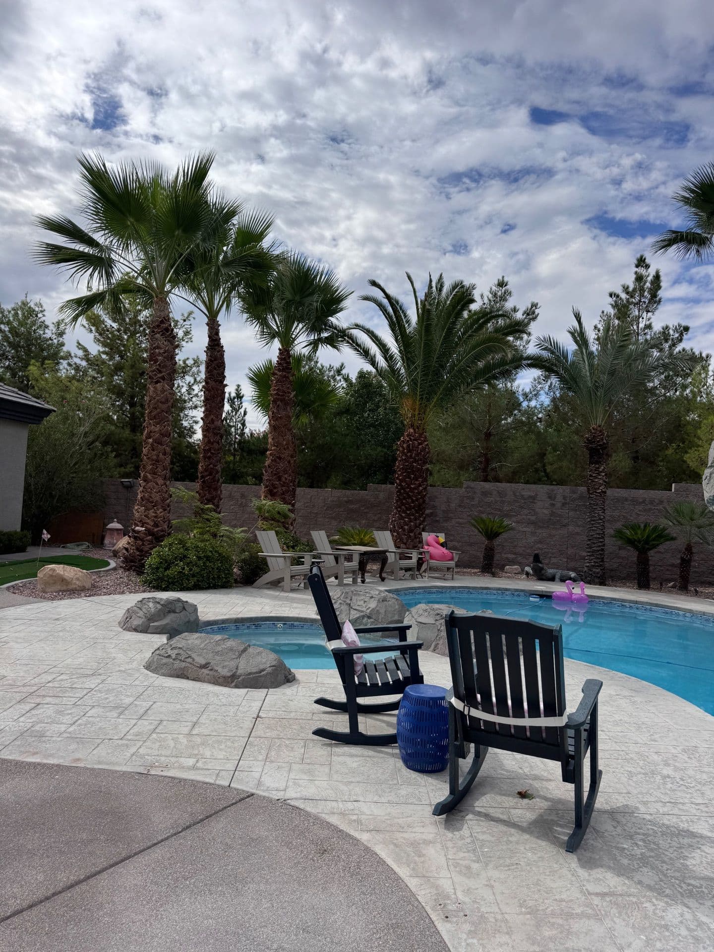 Project Palm Tree Landscaping Around Poolside Paradise image