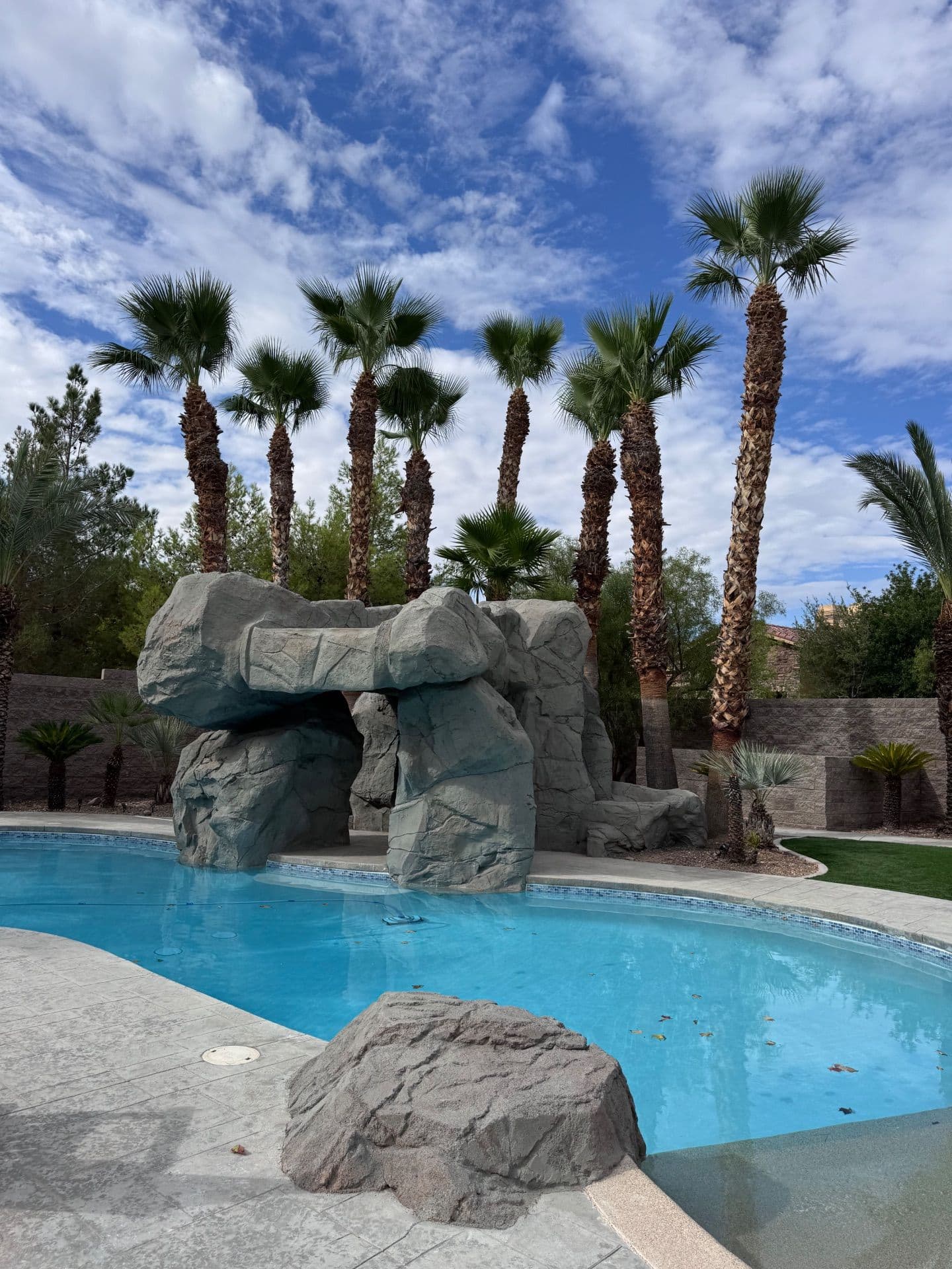 Palm Tree Landscaping Around Poolside Paradise