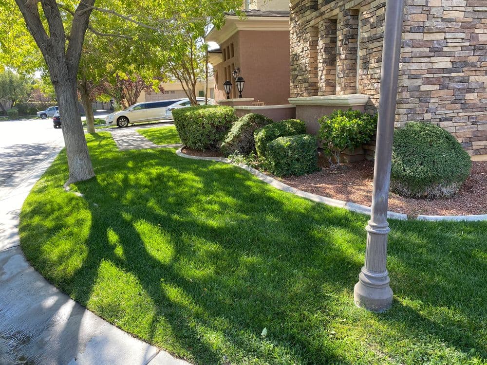 Lush green lawn and landscaped shrubs beside a residential home with stone exterior.